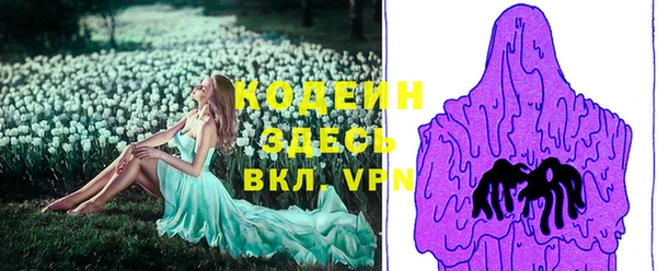 амф Коряжма